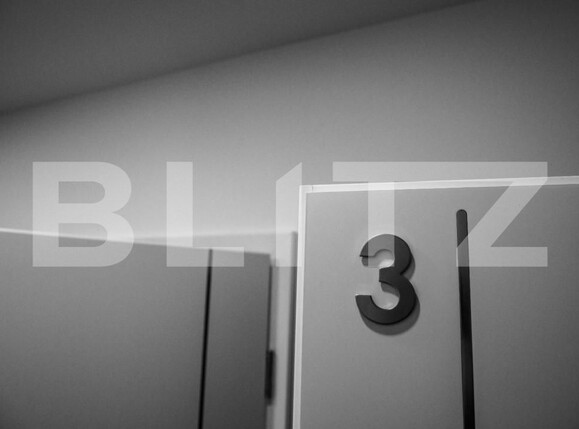 Spațiu comercial de vânzare Sângeorgiu de Mureș - 159826SVC | BLITZ Târgu Mureș | Poza9