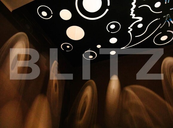 Spațiu comercial de vânzare Sângeorgiu de Mureș - 159826SVC | BLITZ Târgu Mureș | Poza3