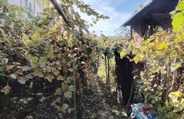 Casa 2 camere, zona magazin Darina Mureseni