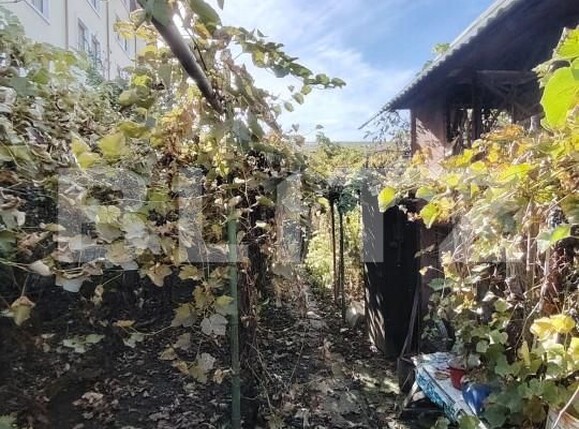 Casa de vânzare 2 camere Gheorghe Doja - 159939CV | BLITZ Târgu Mureș | Poza4