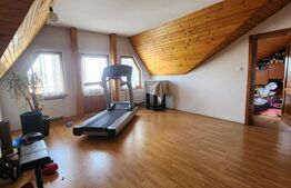 Casa superba cu 13 camere in Sangeorgiu de Mures 