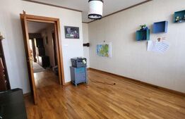 Casa superba cu 13 camere in Sangeorgiu de Mures 