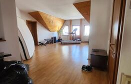 Casa superba cu 13 camere in Sangeorgiu de Mures 