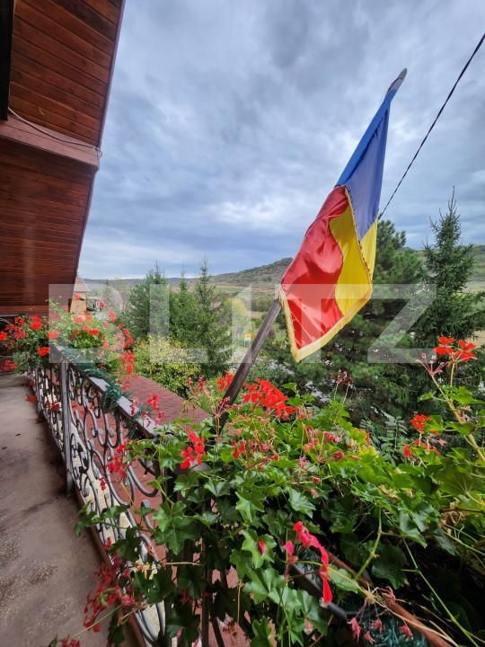 Casa de vânzare 6 camere Voiniceni - 160040CV | BLITZ Târgu Mureș | Poza13