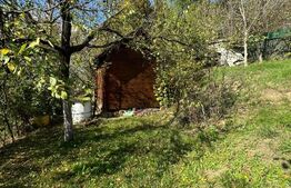 Casa 5 camere , Corunca 517 teren , 170 mp 