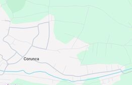 Teren de vanzare in Corunca