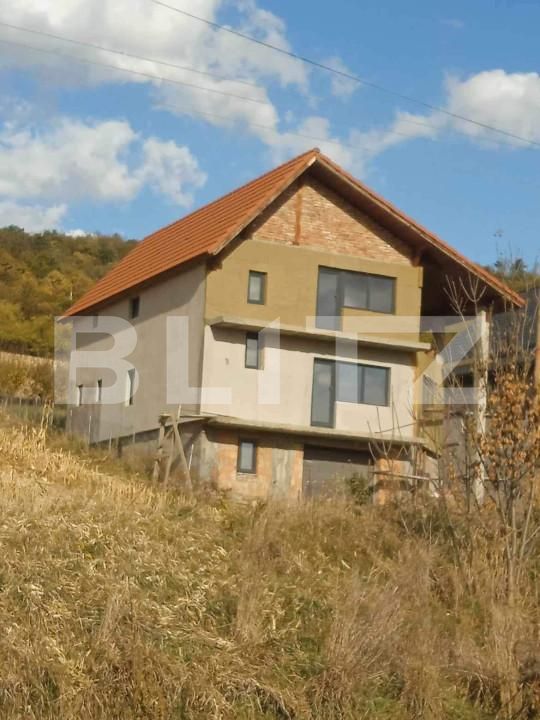 Casa de vânzare 4 camere Raciu - 160790CV | BLITZ Târgu Mureș | Poza3