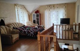 Proprietate cu doua case in Sangeorgiu de Mures