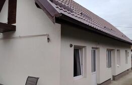 Proprietate cu doua case in Sangeorgiu de Mures