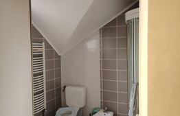 Proprietate cu doua case in Sangeorgiu de Mures