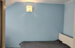 Proprietate cu doua case in Sangeorgiu de Mures