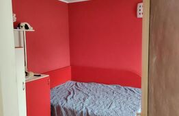 Proprietate cu doua case in Sangeorgiu de Mures