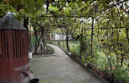 Casa cu 4 camere ,100 mp  , 742 mp teren , zona Nova Vita