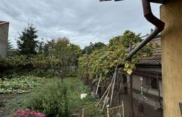 Casa cu 4 camere ,100 mp  , 742 mp teren , zona Nova Vita