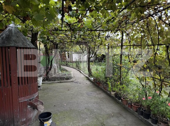 Casa de vânzare 4 camere Semicentral - 161365CV | BLITZ Târgu Mureș | Poza9