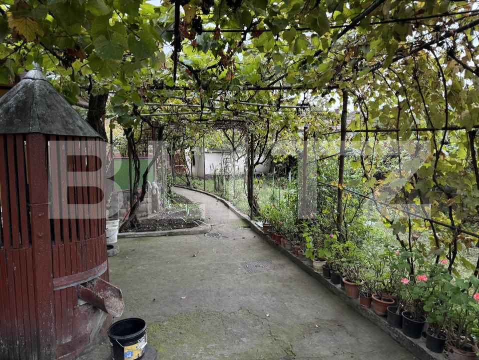 Casa de vânzare 4 camere Semicentral - 161365CV | BLITZ Târgu Mureș | Poza9