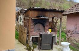 Casa de vacanta in Sangeorgiu de Padure!!!