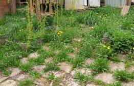 Casa de vacanta in Sangeorgiu de Padure!!!