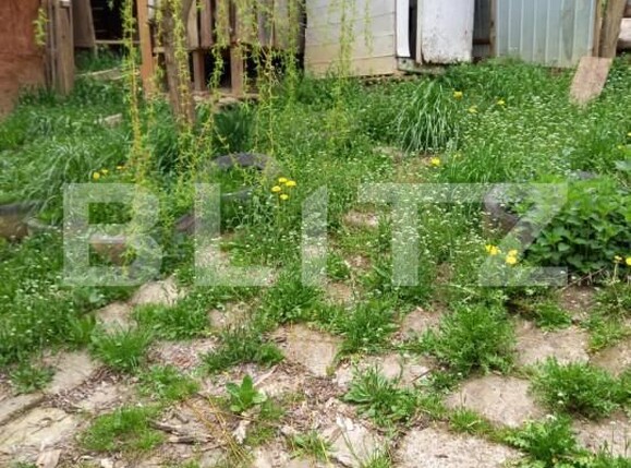 Casa de vânzare 3 camere Sovata - 161430CV | BLITZ Târgu Mureș | Poza3