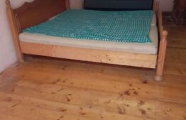 Cabana din busteni bruti 5 camere Salard