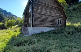 Cabana din busteni bruti 5 camere Salard