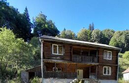 Cabana din busteni bruti 5 camere Salard