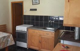 Cabana din busteni bruti 5 camere Salard