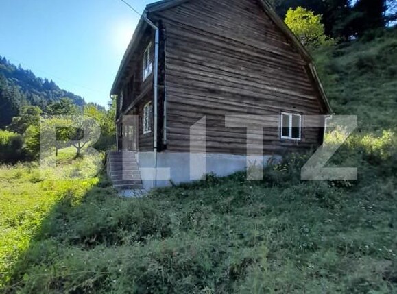 Casa de vânzare 5 camere Salard - 161757CV | BLITZ Târgu Mureș | Poza2