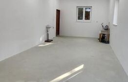 Casa  superba cu 4 camere de vanzare