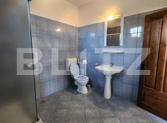 Casa de vânzare 4 camere Sângeorgiu de Mureș - 161918CV | BLITZ Târgu Mureș | Poza14