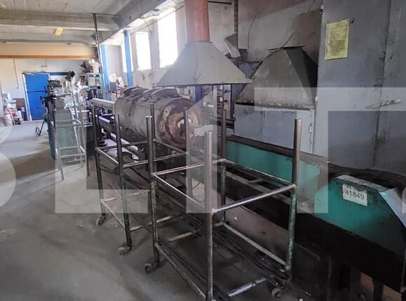 Spațiu industrial de vânzare Aleea Carpati - 162034SVI | BLITZ Târgu Mureș | Poza1