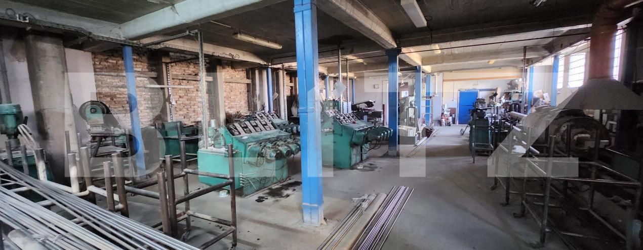 Spațiu industrial de vânzare Aleea Carpati - 162034SVI | BLITZ Târgu Mureș | Poza8
