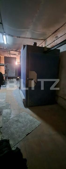 Spațiu industrial de vânzare Aleea Carpati - 162034SVI | BLITZ Târgu Mureș | Poza19