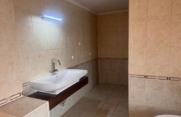 2 apartamente întredeschise, 2 camere, 93 mp, Piata Teatrului