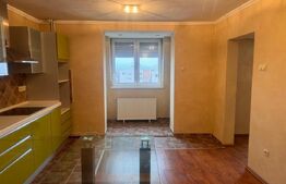 2 apartamente întredeschise, 2 camere, 93 mp, Piata Teatrului