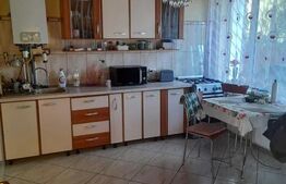 Casa de vanzare - 218 mp utili si 470 mp teren - Bardesti