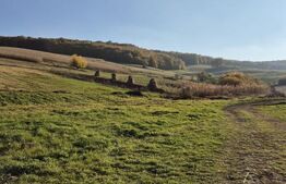 Proprietate de vanzare in Bardesti cu 1900 mp teren