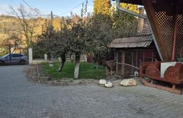 Proprietate de vanzare in Bardesti cu 1900 mp teren