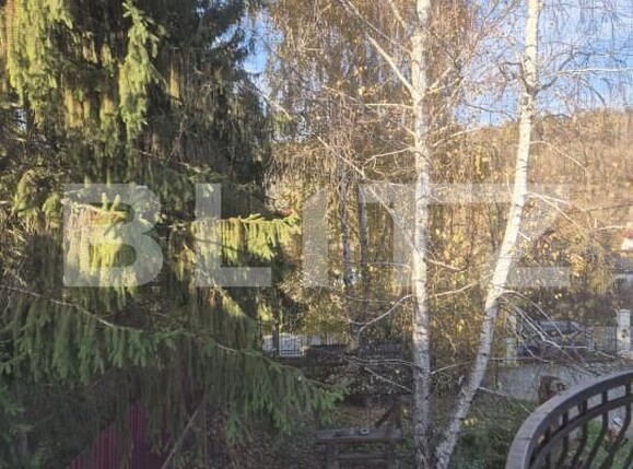 Casa de vânzare 3 camere Bardesti - 162454CV | BLITZ Târgu Mureș | Poza4