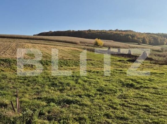 Casa de vânzare 3 camere Bardesti - 162454CV | BLITZ Târgu Mureș | Poza13