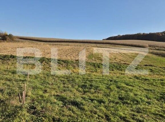 Casa de vânzare 3 camere Bardesti - 162454CV | BLITZ Târgu Mureș | Poza16