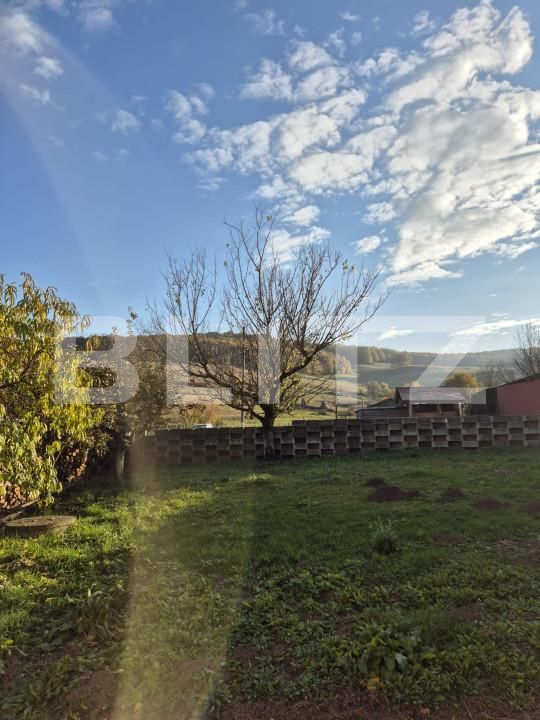 Casa de vânzare 3 camere Bardesti - 162454CV | BLITZ Târgu Mureș | Poza12