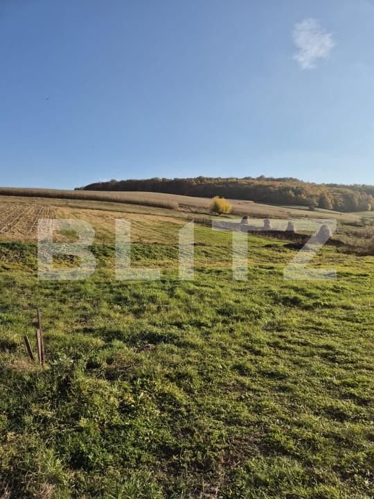 Casa de vânzare 3 camere Bardesti - 162454CV | BLITZ Târgu Mureș | Poza13