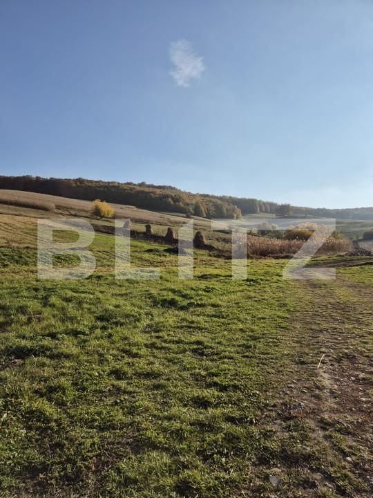 Casa de vânzare 3 camere Bardesti - 162454CV | BLITZ Târgu Mureș | Poza11