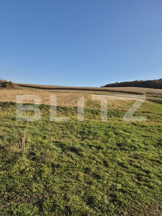 Casa de vânzare 3 camere Bardesti - 162454CV | BLITZ Târgu Mureș | Poza16