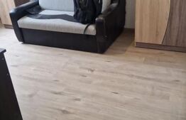 Garsoniera de vanzare, 23 mp, etajul 1, zona-Rovinari