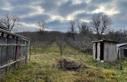 Casa cu 3 camere, 61mp, teren 1130