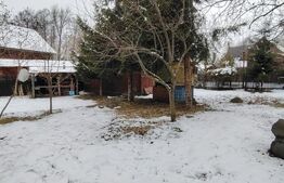 Cabana in Bistra Muresului, 60 mp utili, 500 mp teren