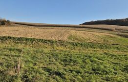 Teren intravilan de vanzare in Bardesti