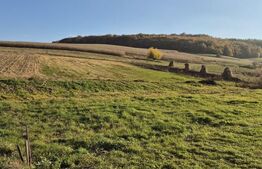 Teren intravilan de vanzare in Bardesti